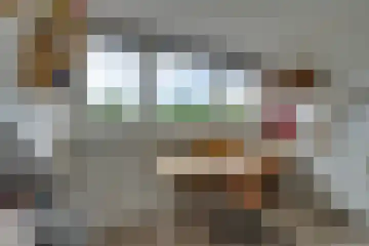 Vlaggemast 52 Amsterdam thumbnail 38