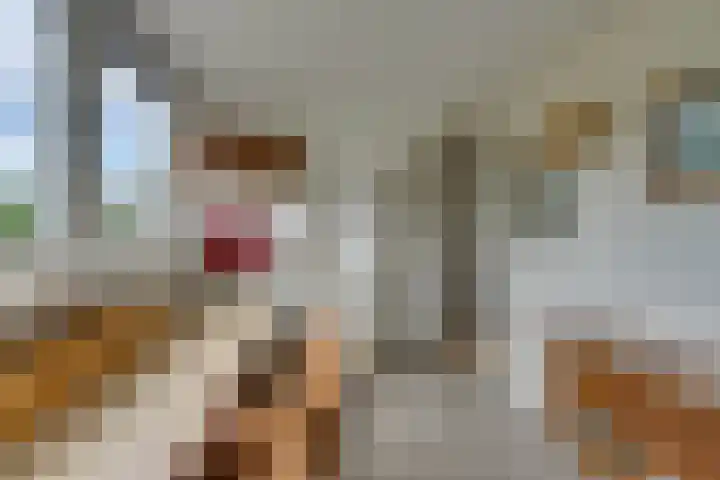 Vlaggemast 52 Amsterdam thumbnail 39