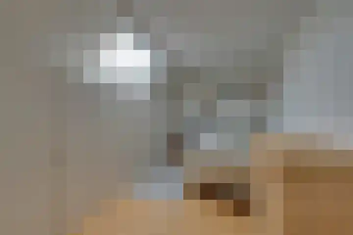 Vlaggemast 52 Amsterdam thumbnail 40