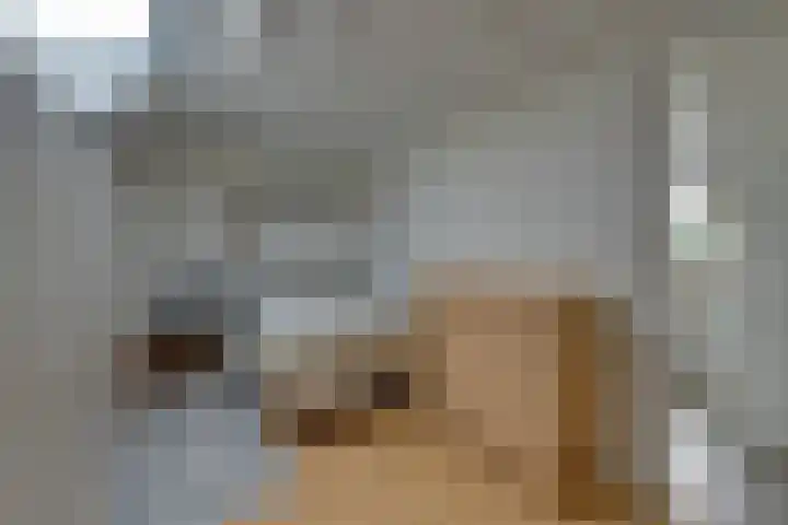 Vlaggemast 52 Amsterdam thumbnail 41