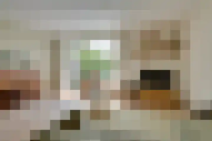 Vlaggemast 52 Amsterdam thumbnail 7