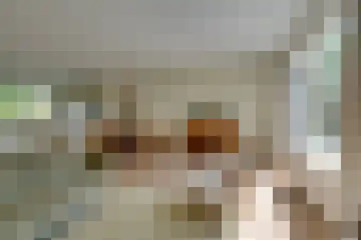 Vlaggemast 52 Amsterdam thumbnail 9