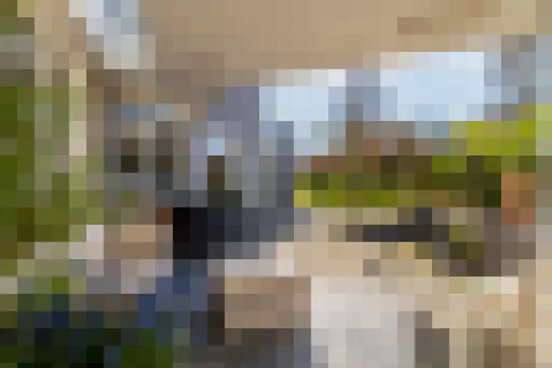 Vlaggeschip 35 Oosterhout thumbnail 4