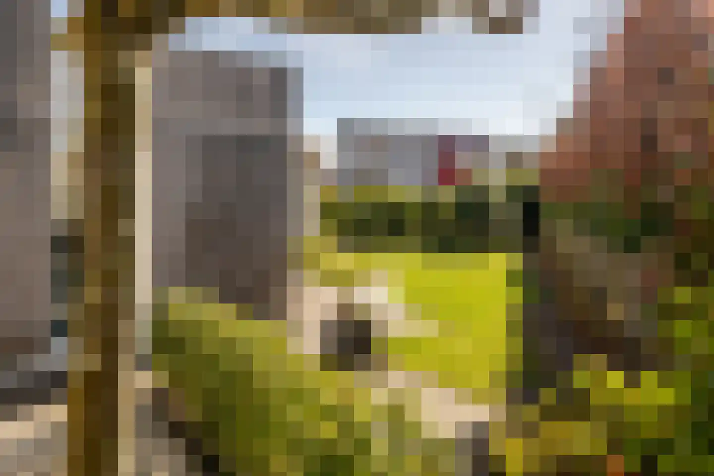 Vlaggeschip 35 Oosterhout thumbnail 56