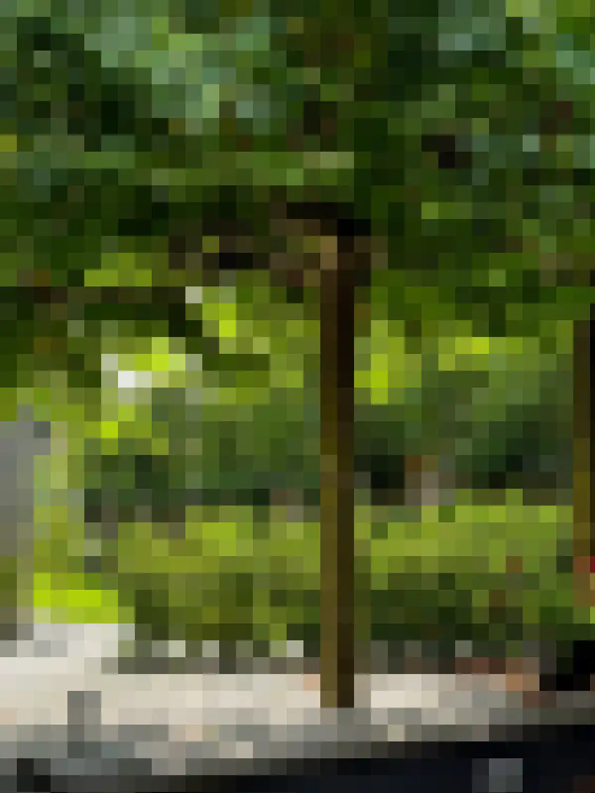 Vlaggeschip 35 Oosterhout thumbnail 57