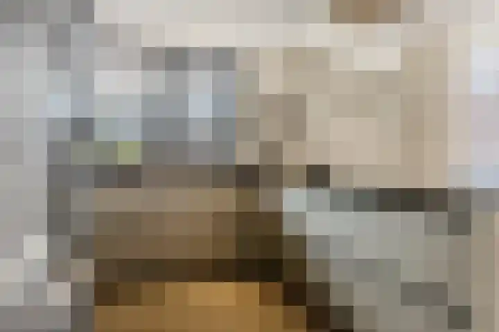Vlaggeschip 50 Oosterhout thumbnail 17