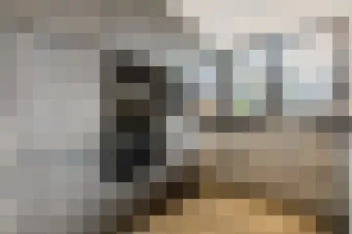 Vlaggeschip 50 Oosterhout thumbnail 18
