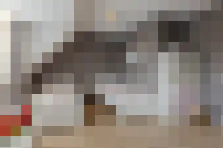 Vlaggeschip 50 Oosterhout thumbnail 30