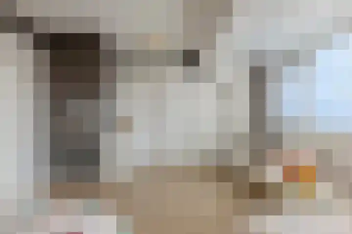 Vlaggeschip 50 Oosterhout thumbnail 31