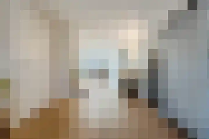 Vlaggeschip 50 Oosterhout thumbnail 4