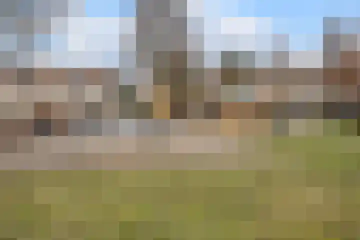 Vlaggeschip 50 Oosterhout thumbnail 59