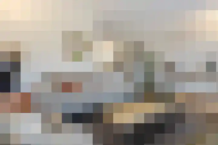 Vlaggeschip 50 Oosterhout thumbnail 6