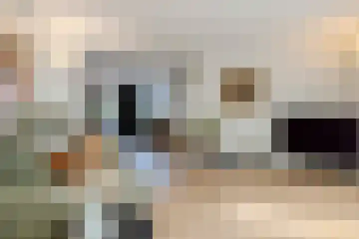 Vlaggeschip 50 Oosterhout thumbnail 7
