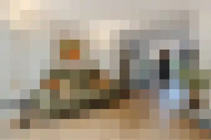 Vlaggeschip 50 Oosterhout thumbnail 8