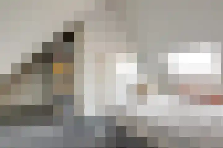 Vlaggeschip 60 Oosterhout thumbnail 36