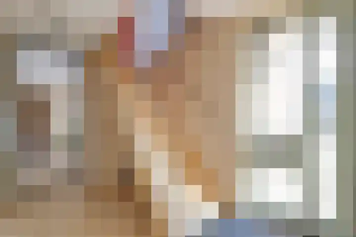 Vlaggeschip 60 Oosterhout thumbnail 4