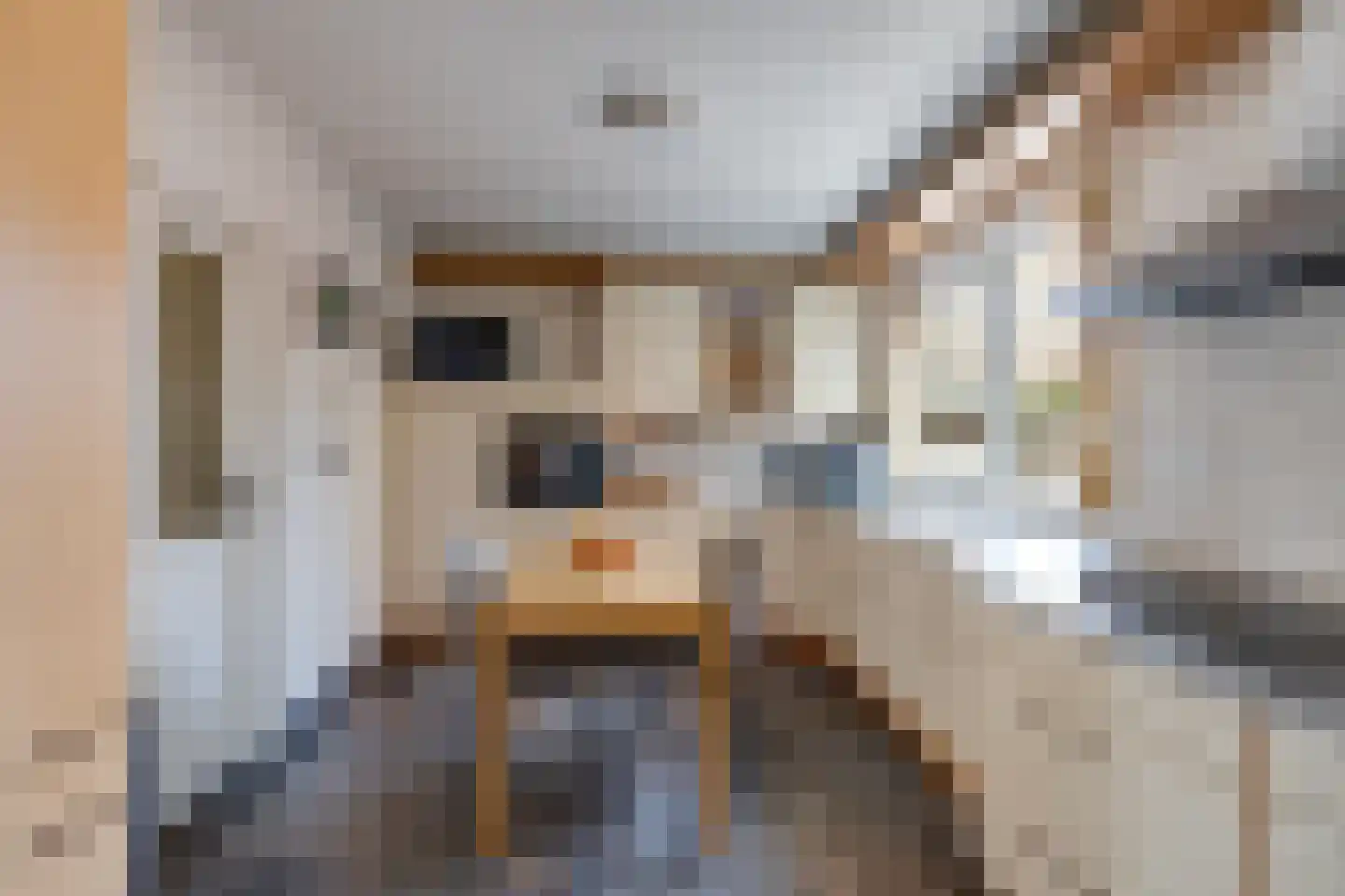 Vlaggestraat 6 Prinsenbeek thumbnail 16