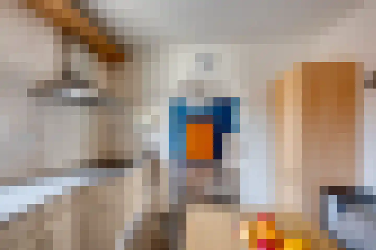 Vlaggestraat 6 Prinsenbeek thumbnail 17