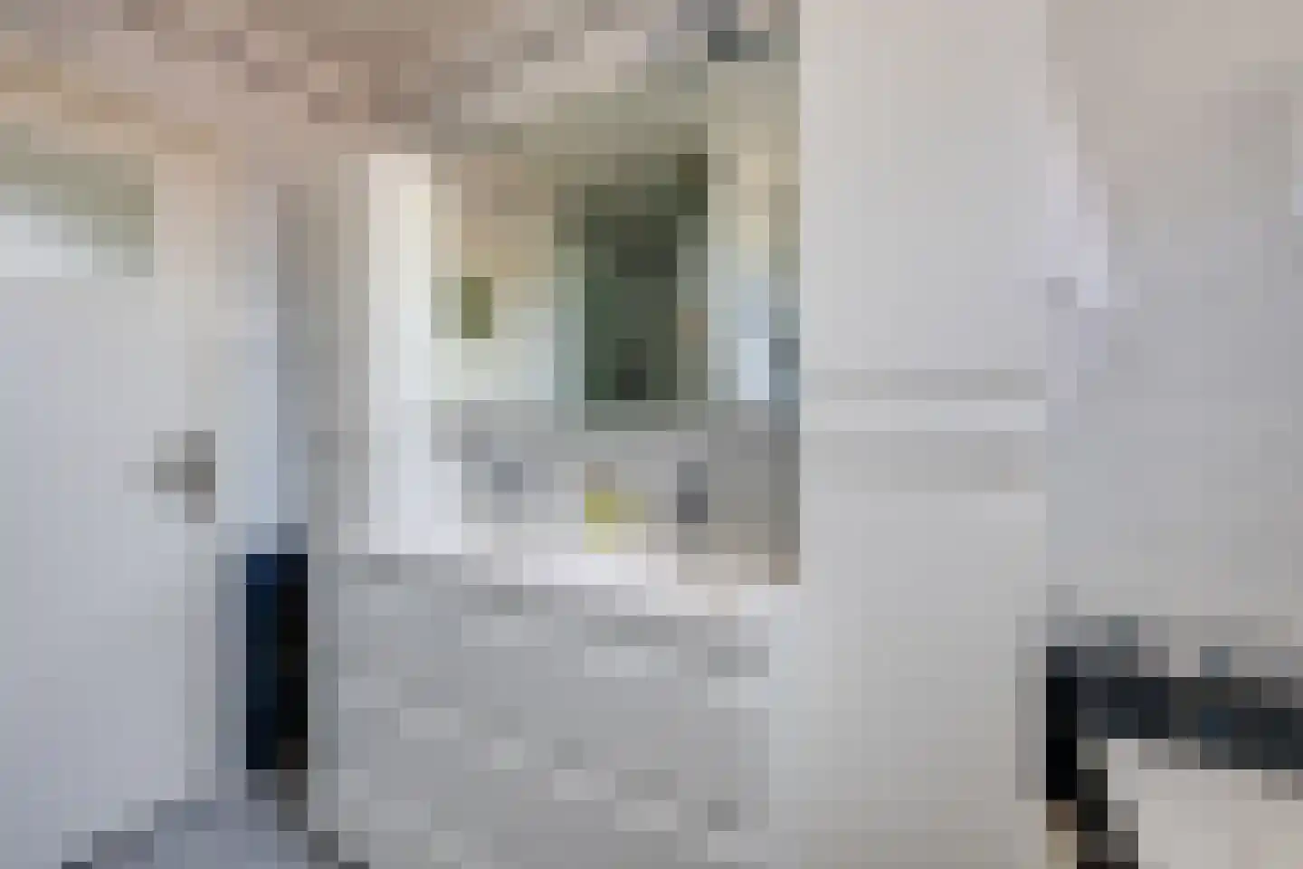 Vlaggestraat 6 Prinsenbeek thumbnail 29