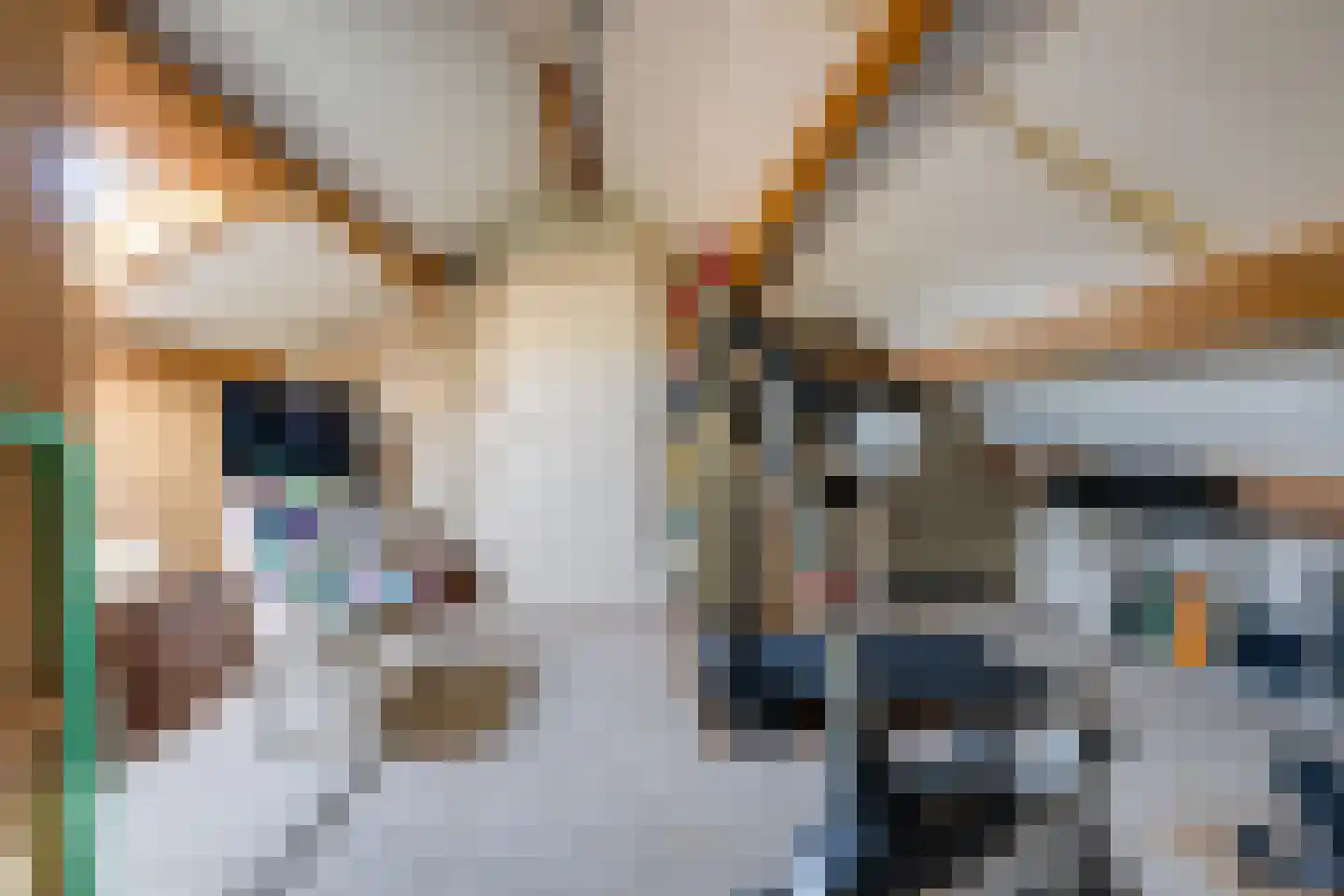 Vlaggestraat 6 Prinsenbeek thumbnail 35