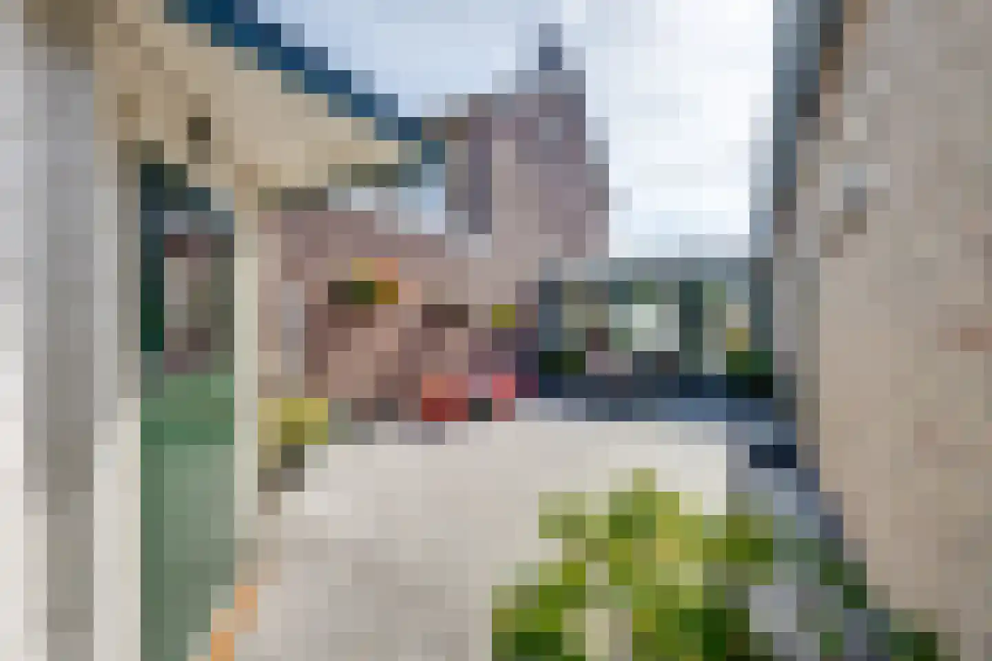 Vlaggestraat 6 Prinsenbeek thumbnail 41
