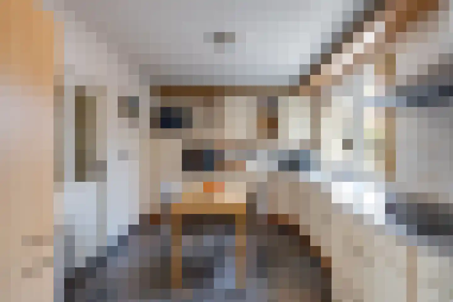 Vlaggestraat 6 Prinsenbeek thumbnail 5