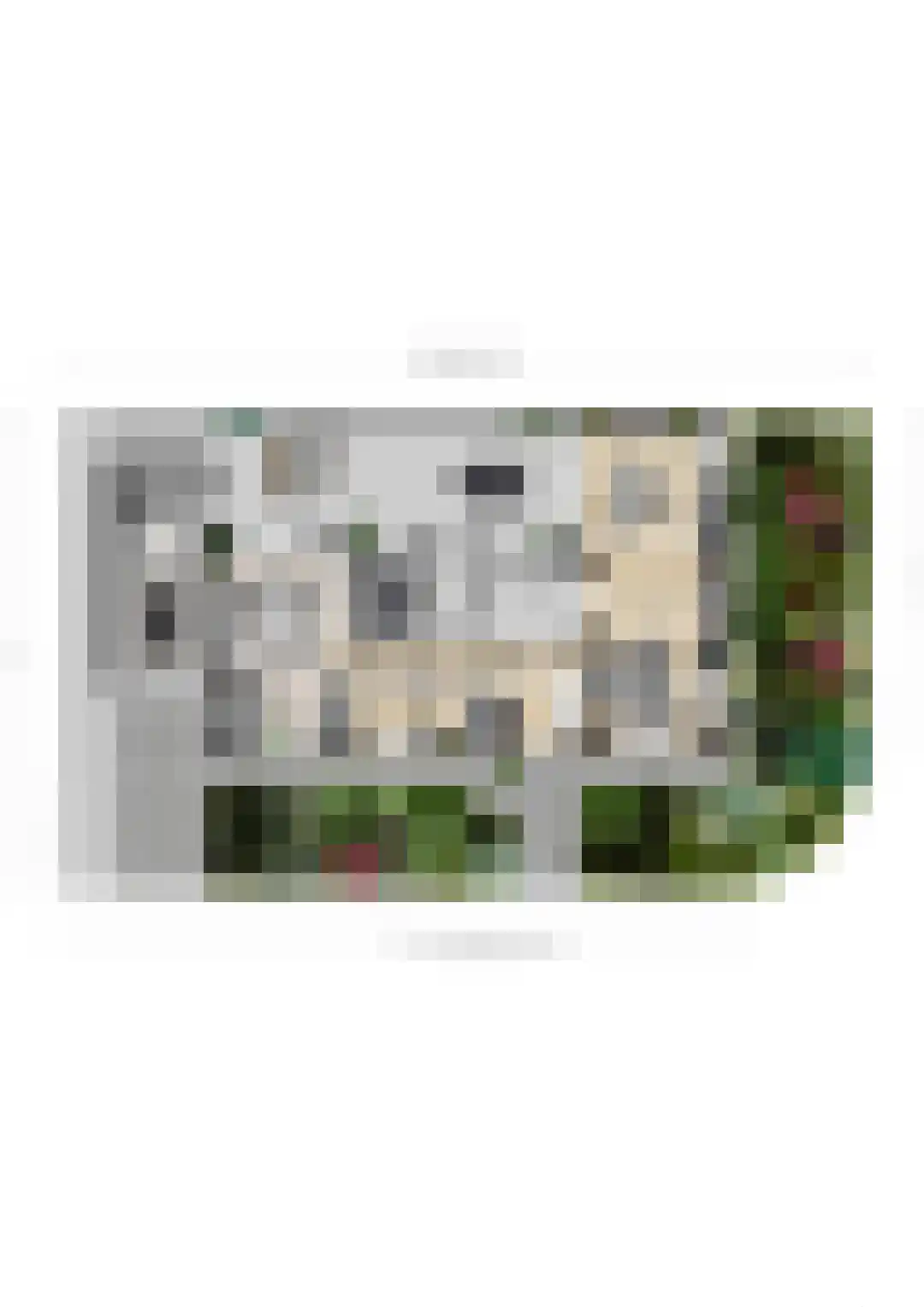 Vlaggestraat 6 Prinsenbeek thumbnail 52