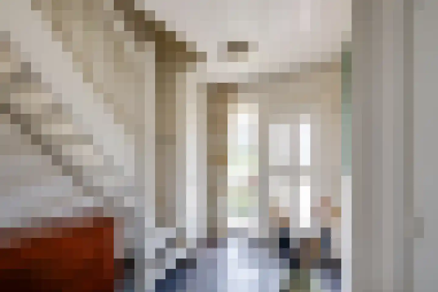 Vlaggestraat 6 Prinsenbeek thumbnail 8