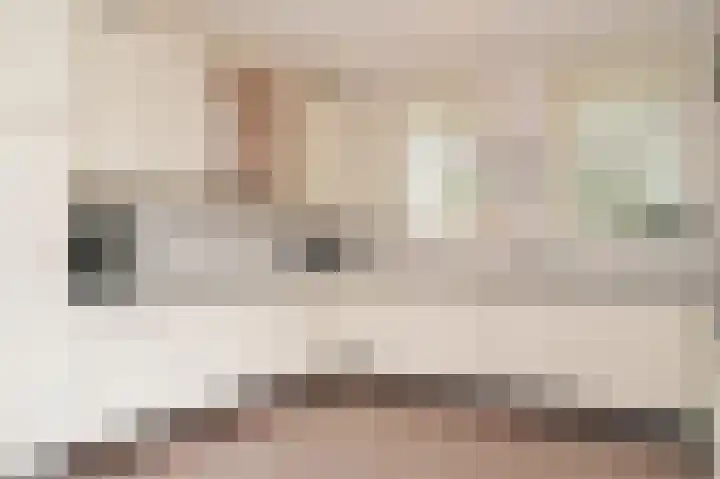 Vlagheide 3 Schijndel thumbnail 13