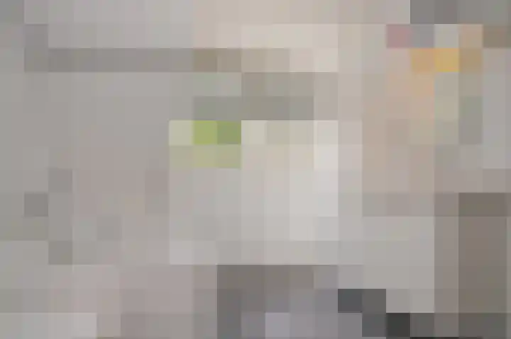 Vlagheide 3 Schijndel thumbnail 20