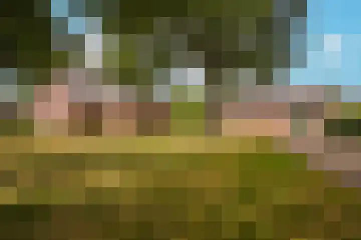 Vlagheide 3 Schijndel thumbnail 26
