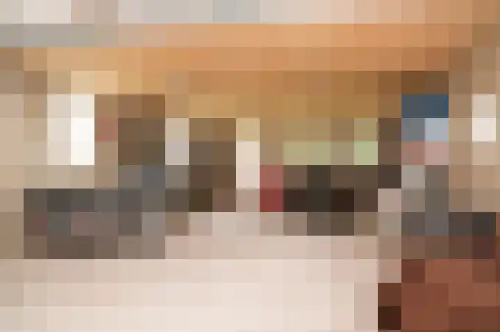 Vlagheide 3 Schijndel thumbnail 30