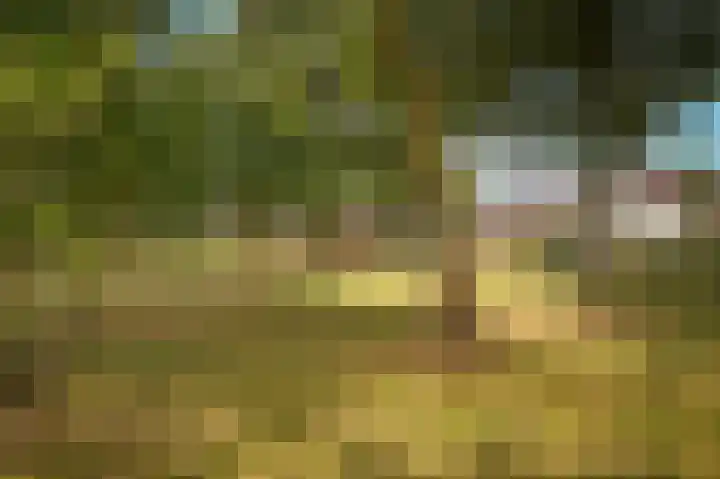 Vlagheide 3 Schijndel thumbnail 31