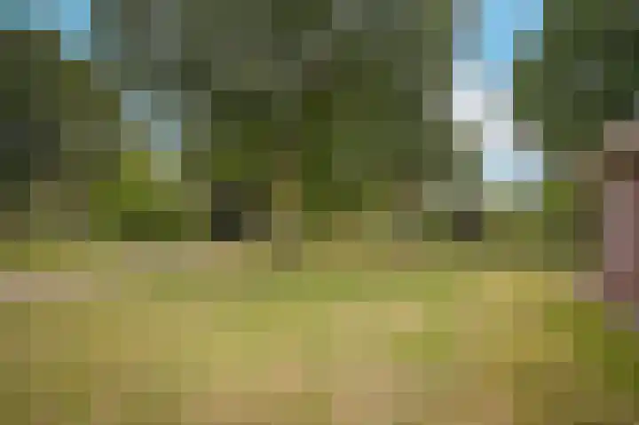 Vlagheide 3 Schijndel thumbnail 32