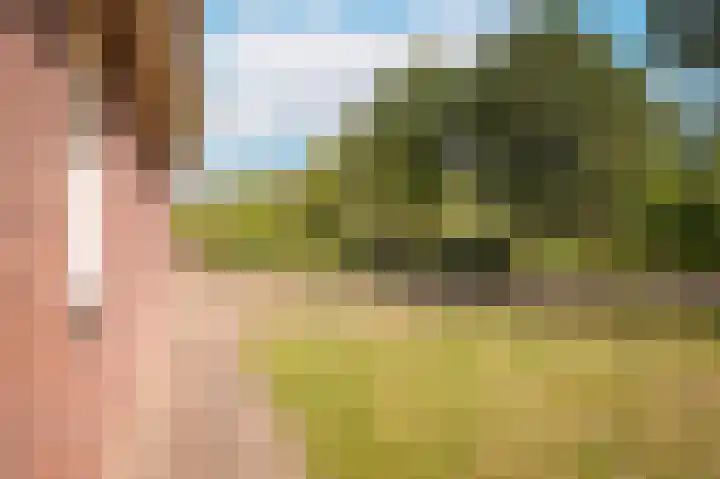 Vlagheide 3 Schijndel thumbnail 33