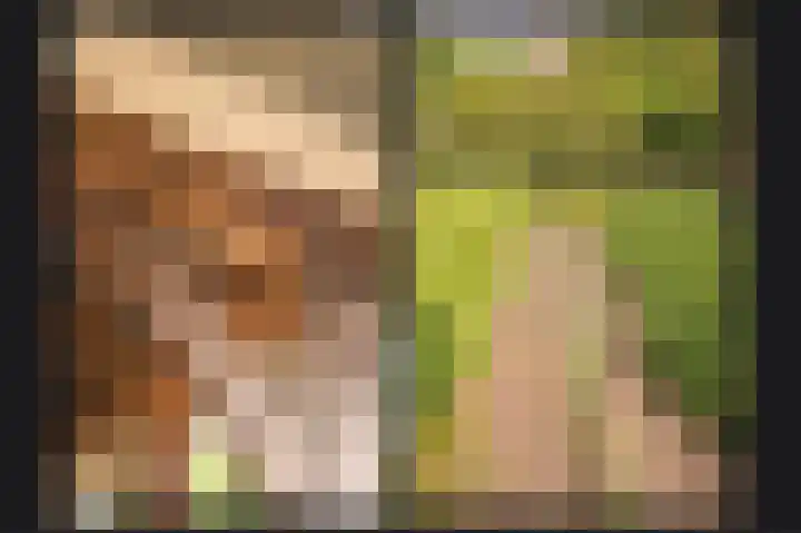 Vlagheide 3 Schijndel thumbnail 35