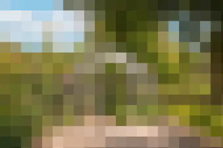 Vlagheide 3 Schijndel thumbnail 36