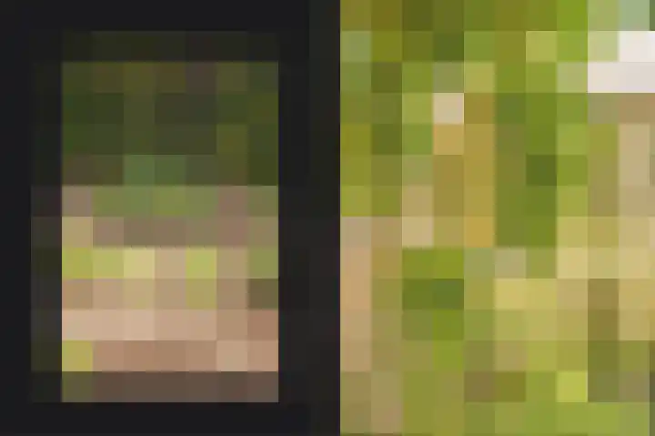 Vlagheide 3 Schijndel thumbnail 37