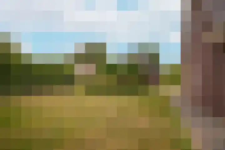 Vlagheide 3 Schijndel thumbnail 38