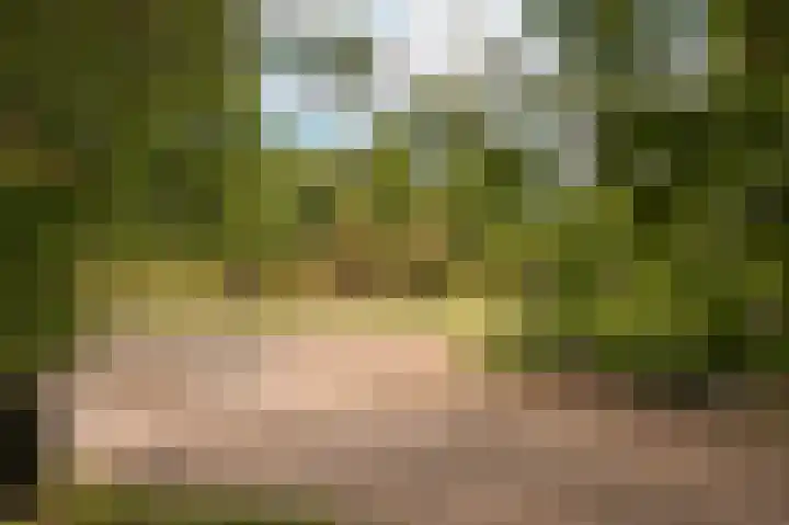 Vlagheide 3 Schijndel thumbnail 40