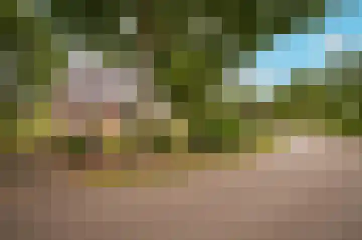 Vlagheide 3 Schijndel thumbnail 41