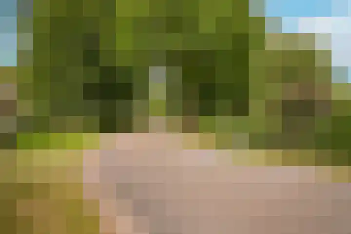 Vlagheide 3 Schijndel thumbnail 42