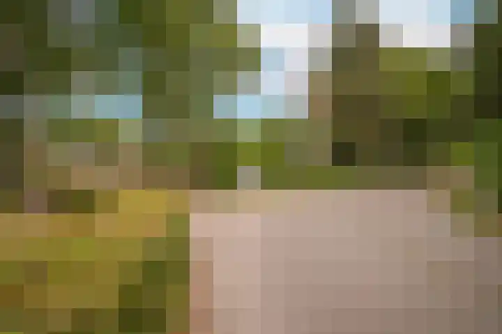 Vlagheide 3 Schijndel thumbnail 43