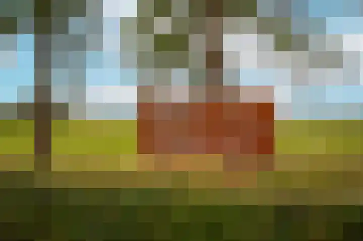 Vlagheide 3 Schijndel thumbnail 44
