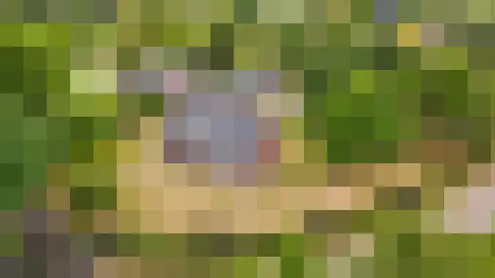 Vlagheide 3 Schijndel thumbnail 46