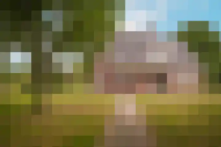 Vlagheide 3 Schijndel thumbnail 58