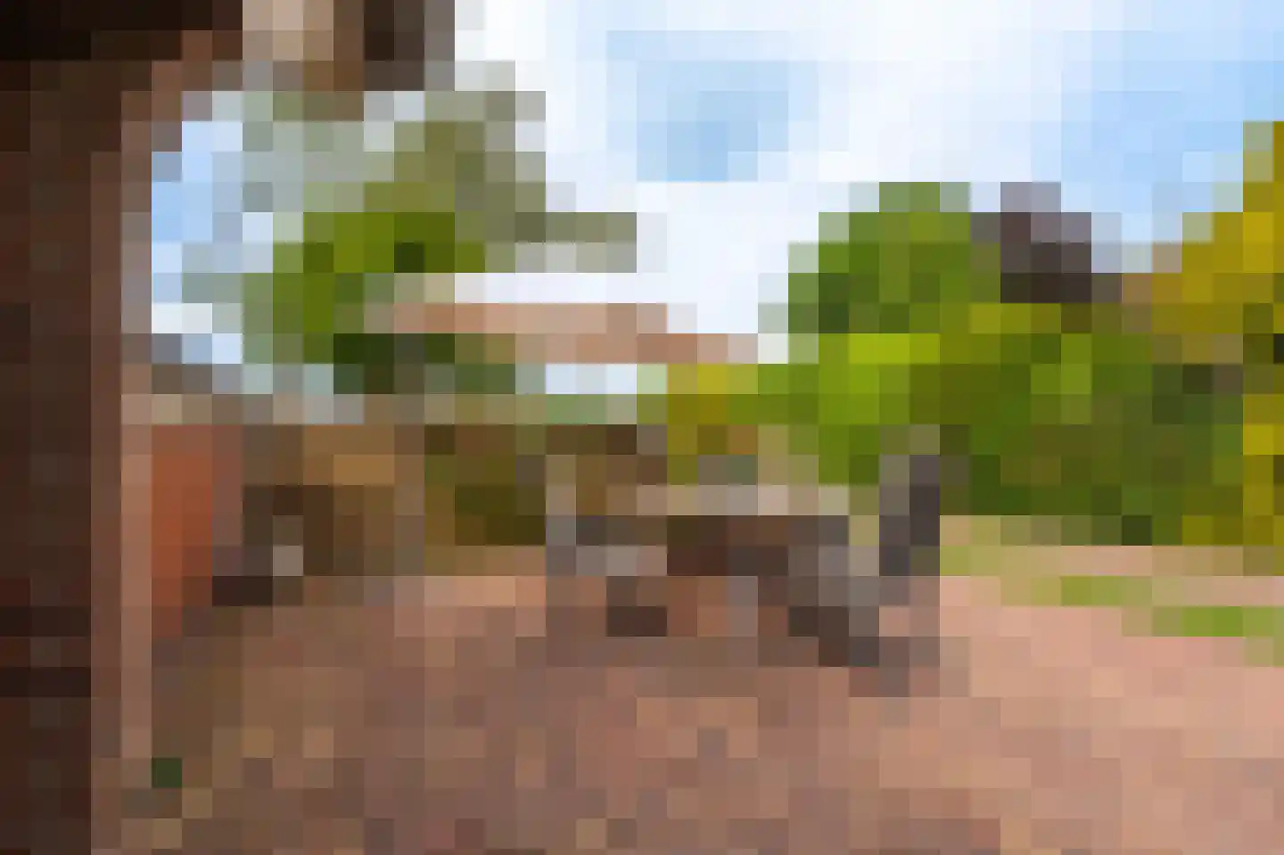 Vlagtwedderstraat 55 Bourtange thumbnail 11