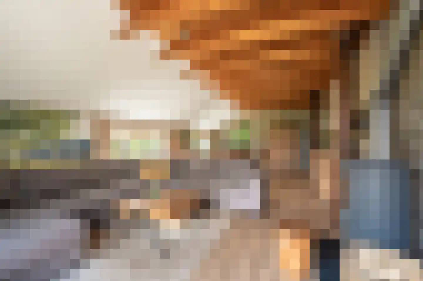 Vlagtwedderstraat 55 Bourtange thumbnail 22