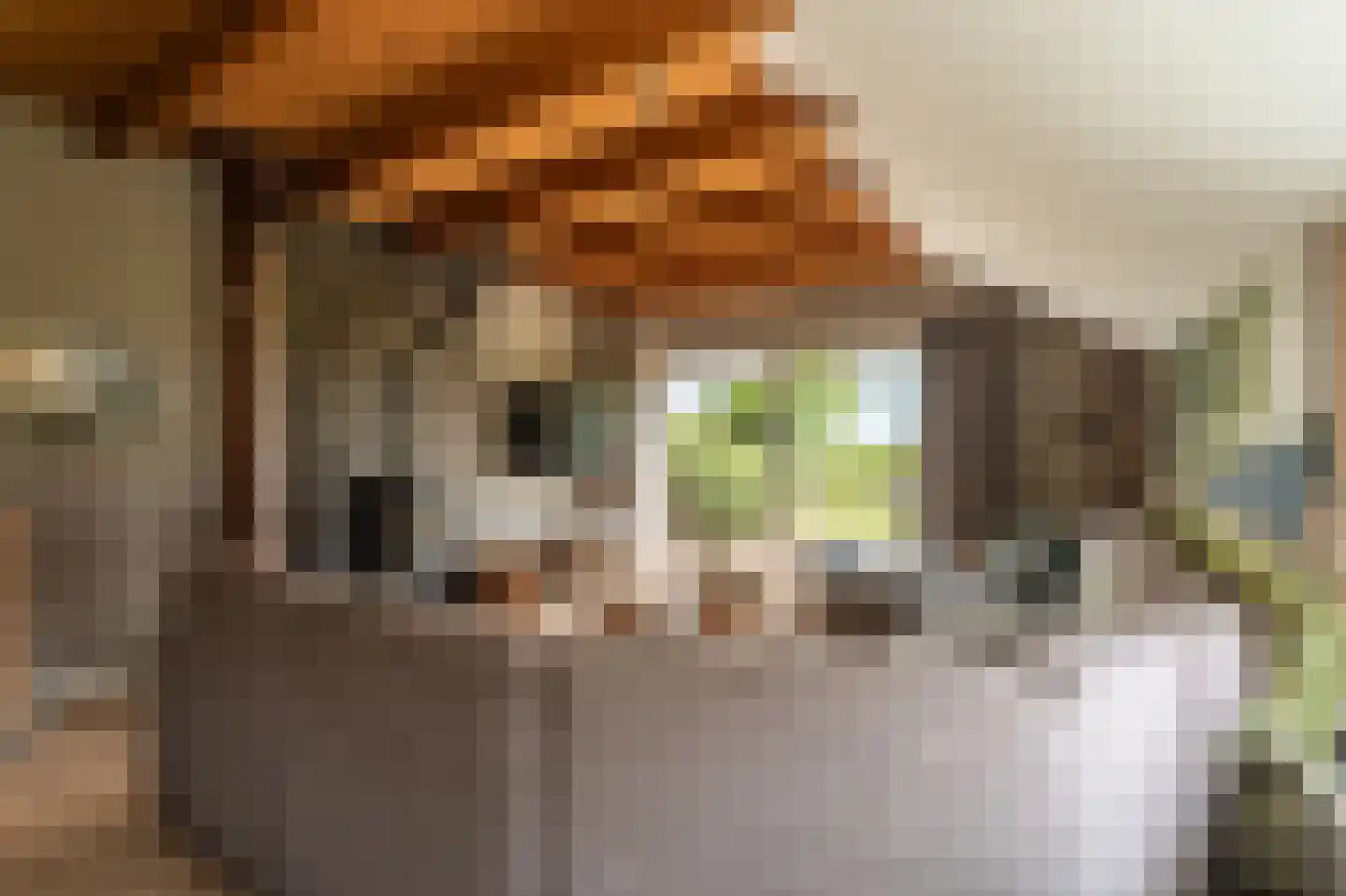 Vlagtwedderstraat 55 Bourtange thumbnail 26