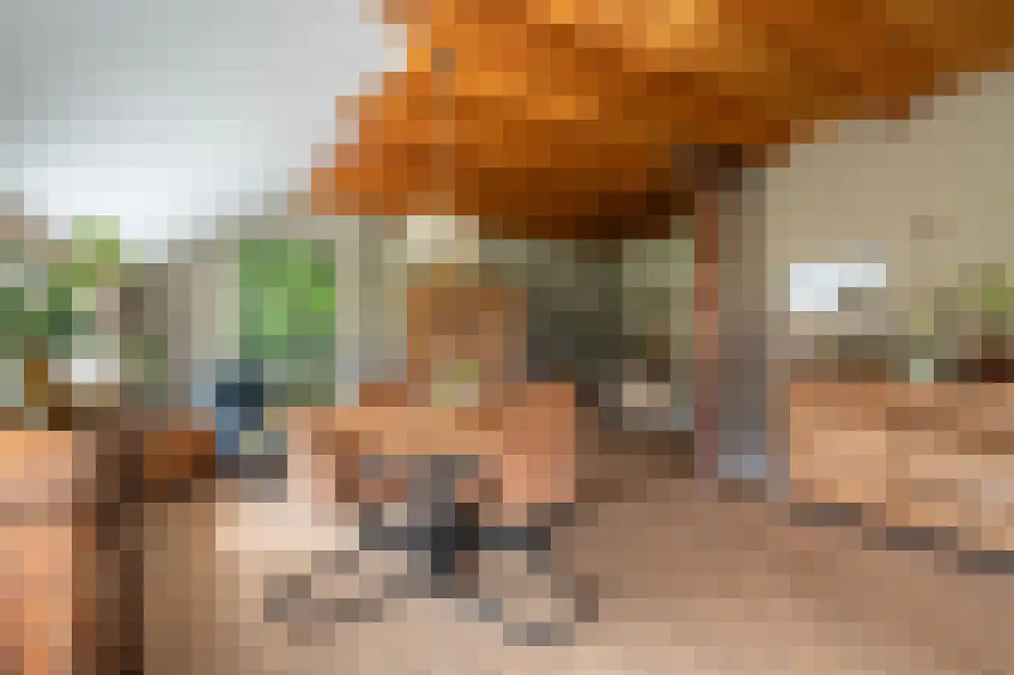 Vlagtwedderstraat 55 Bourtange thumbnail 27